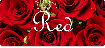 赤いバラ・赤いカーネーション・赤いガーベラ