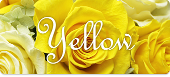 黄色いバラ・黄色カーネーション・黄色ガーベラ