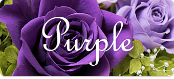 紫のバラ・紫カーネーション
