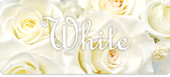 白いバラ・白カーネーション・白ガーベラ