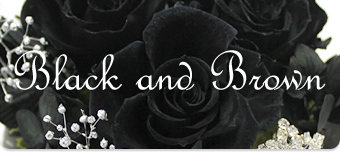 黒いバラ・黒薔薇・茶色いバラ